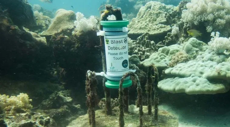 A cylindrical blast detector secured underwater beside coral.